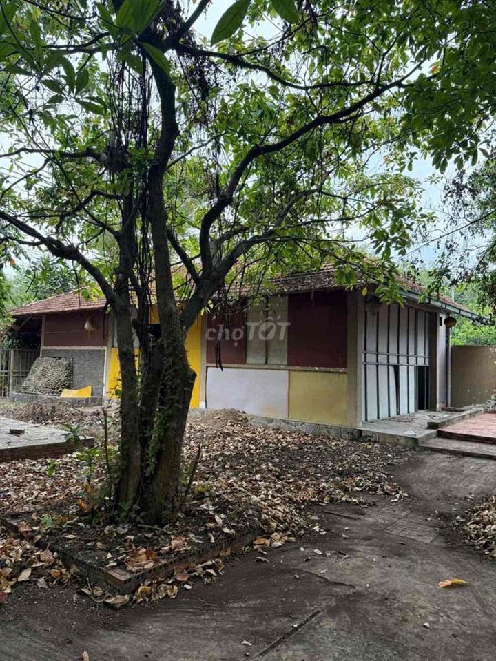 ✅Chính chủ cần bán Gấp 676m2 (dt: 33x20) có 300m2 thổ cư có 2 Mặt tiền
