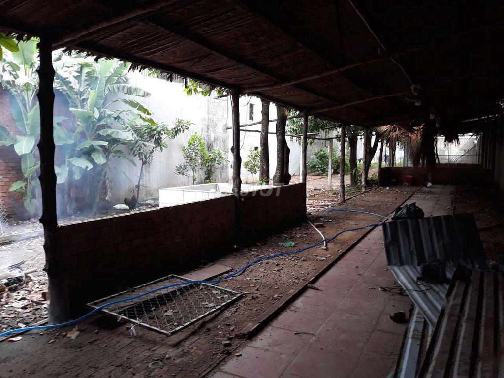 Nhà Vườn Gần 1000 m2 (120 Thổ Cư ) Thới Tam Thôn, Gần Đặng Thúc Vịnh