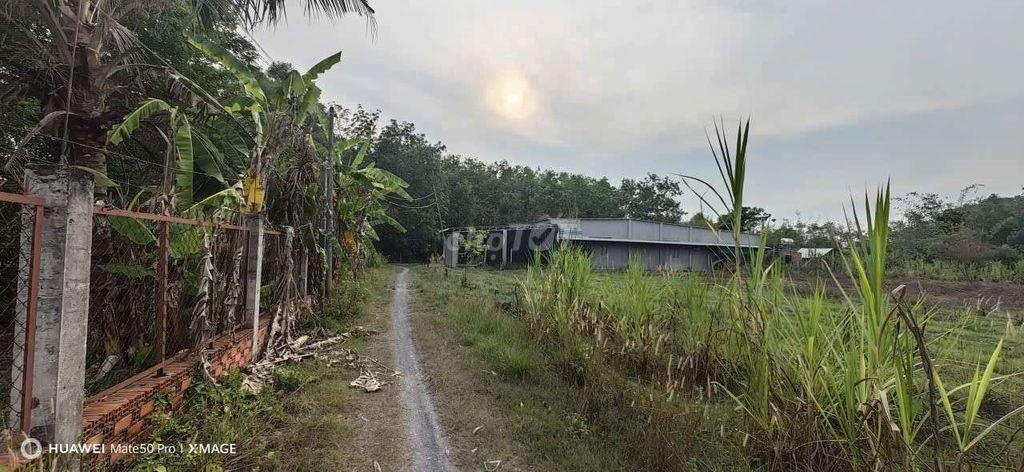 Tôi chính chủ cần bán lô đất xã An Nhơn Tây full thổ 360,8 m2