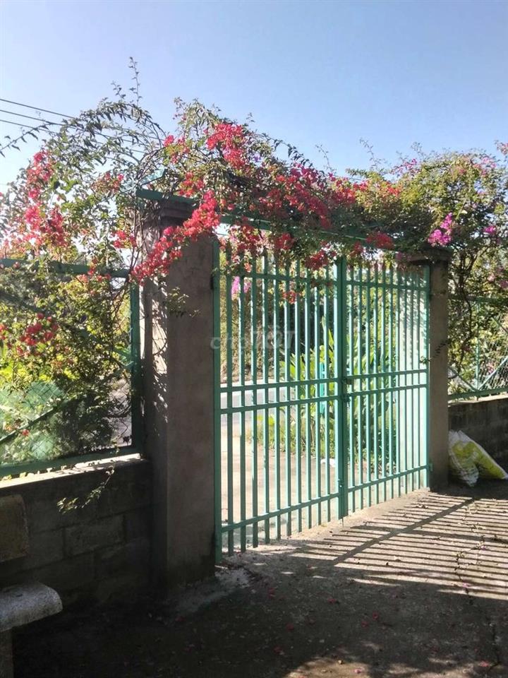 Đất vườn mặt tiền đường nhựa