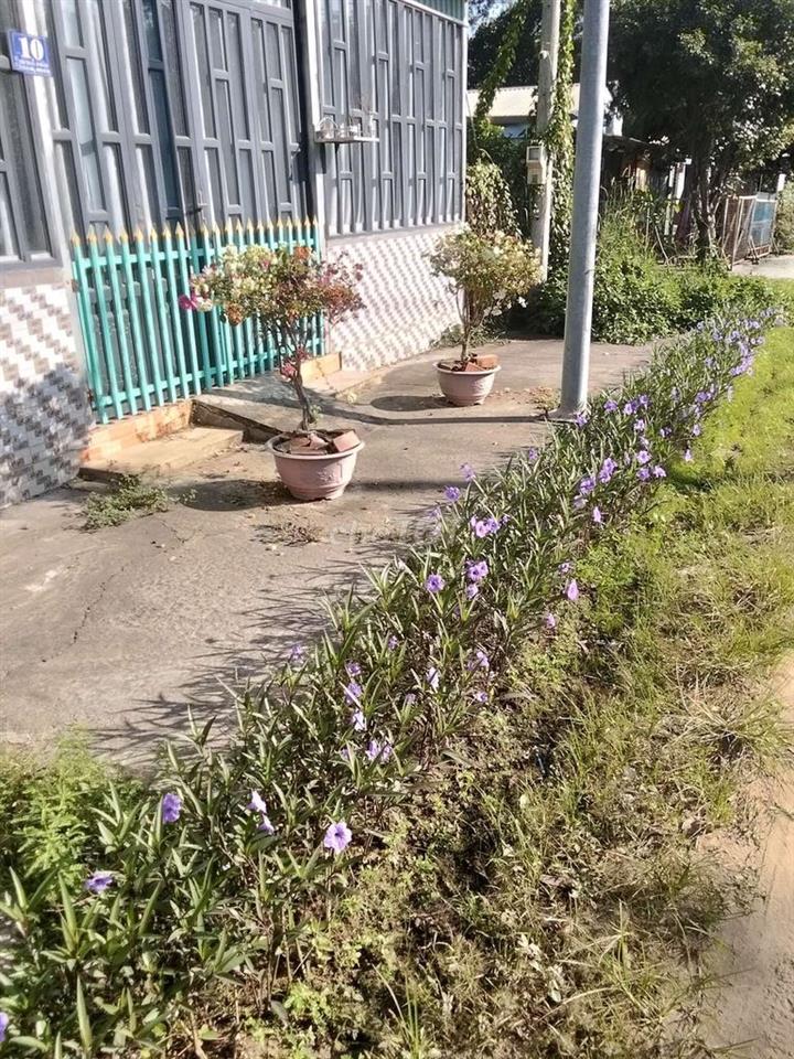 Đất vườn mặt tiền đường nhựa