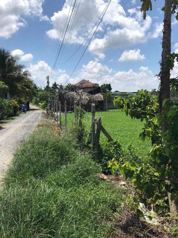 BÁN ĐẤT SỔ RIÊNG ĐẤT TRỒNG CẤY LÂU NẮM