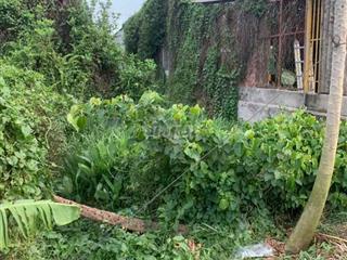 BÁN ĐẤT SỔ RIÊNG ĐẤT TRỒNG CẤY LÂU NẮM