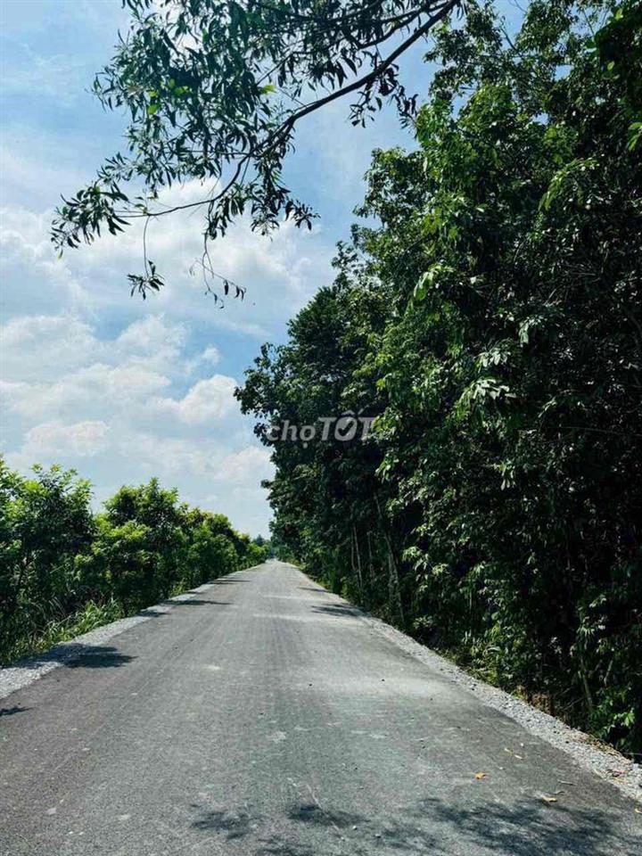 CHÍNH CHỦ CẦN BÁN GẤP NHÀ 2 MẶT TIỀN ĐƯỜNG BÀU LÁCH