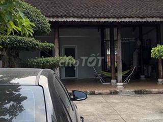 Bán nhà vườn kèm xưởng