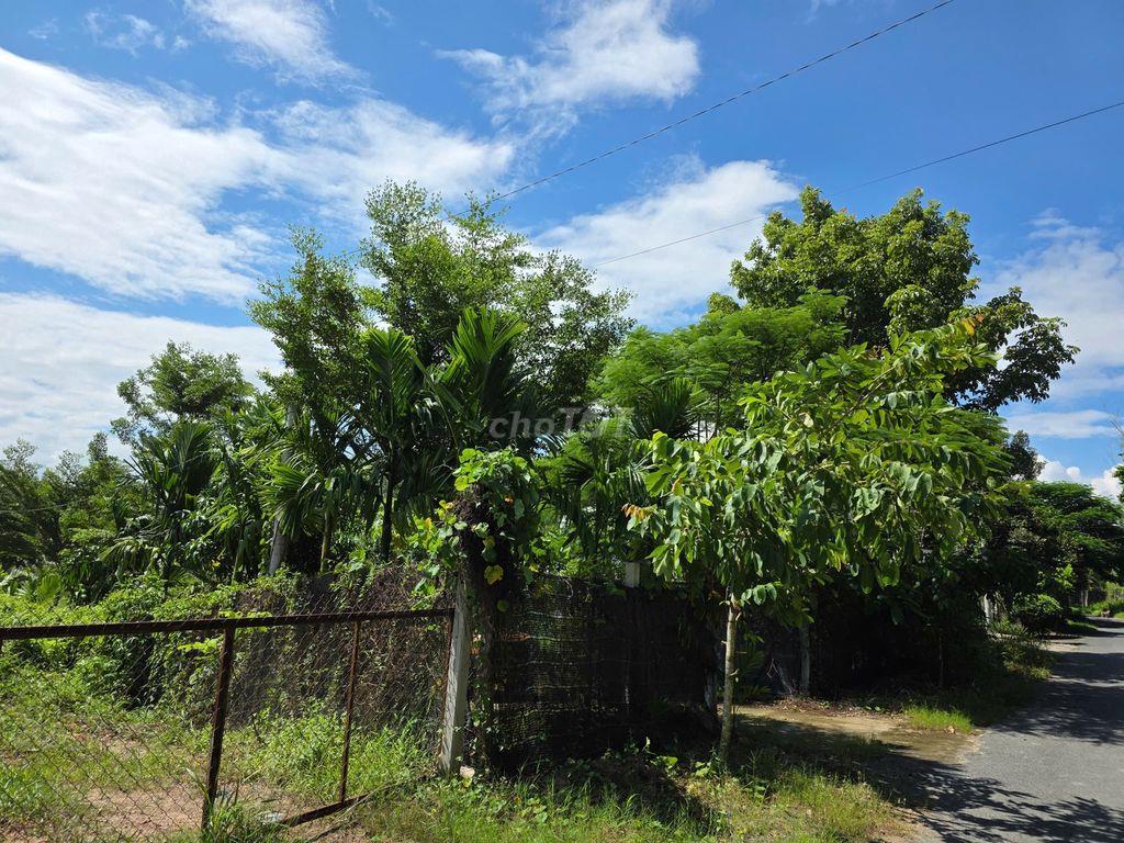 Bán nhà vườn, đất rộng, view kênh, có thổ cư