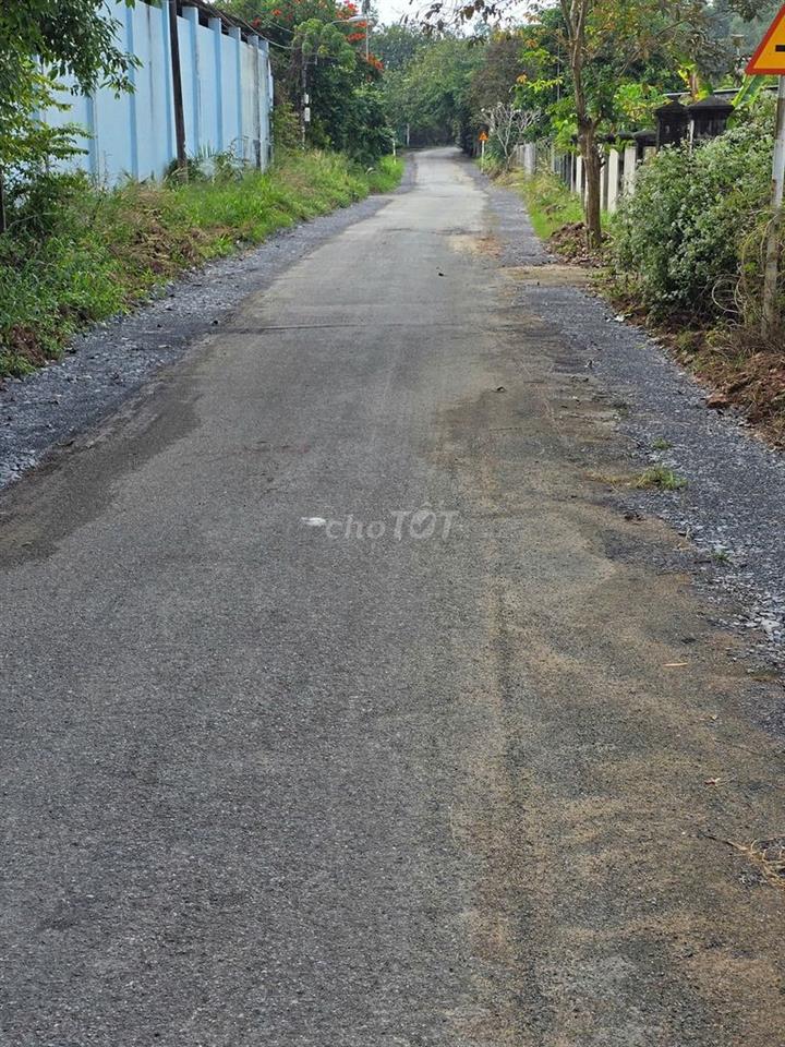 Bán nhà vườn, đất rộng, view kênh, có thổ cư