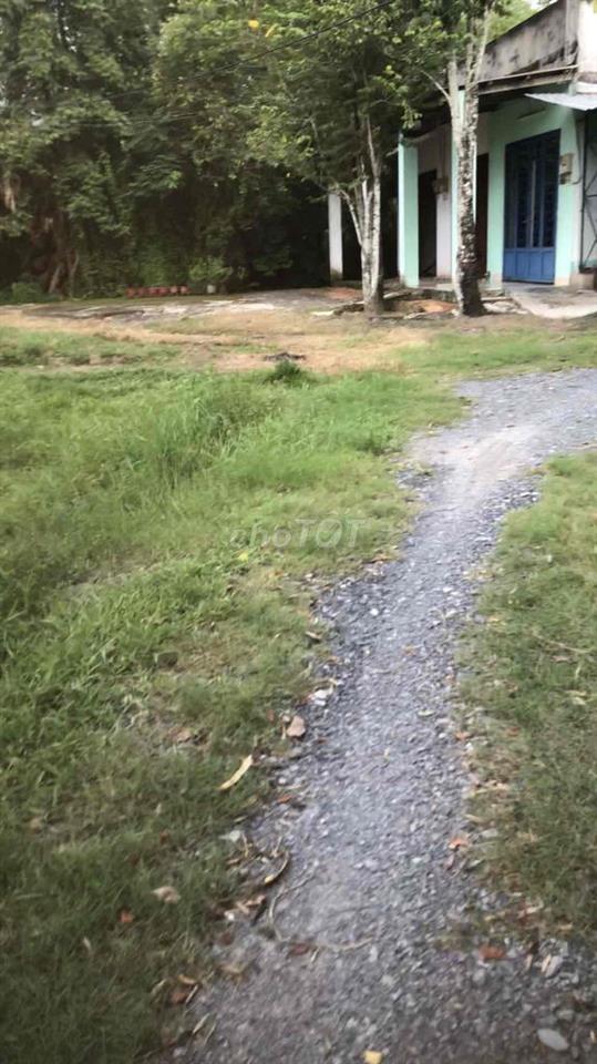 Cần bán đất ỏ xã Thái Mỹ( p Thái Mỹ) Củ Chi