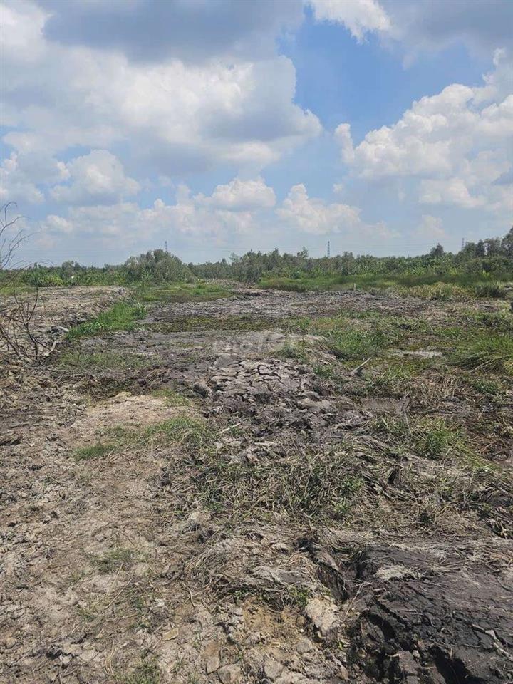 1.500m2 đất xã Thái Mỹ, Củ Chi
