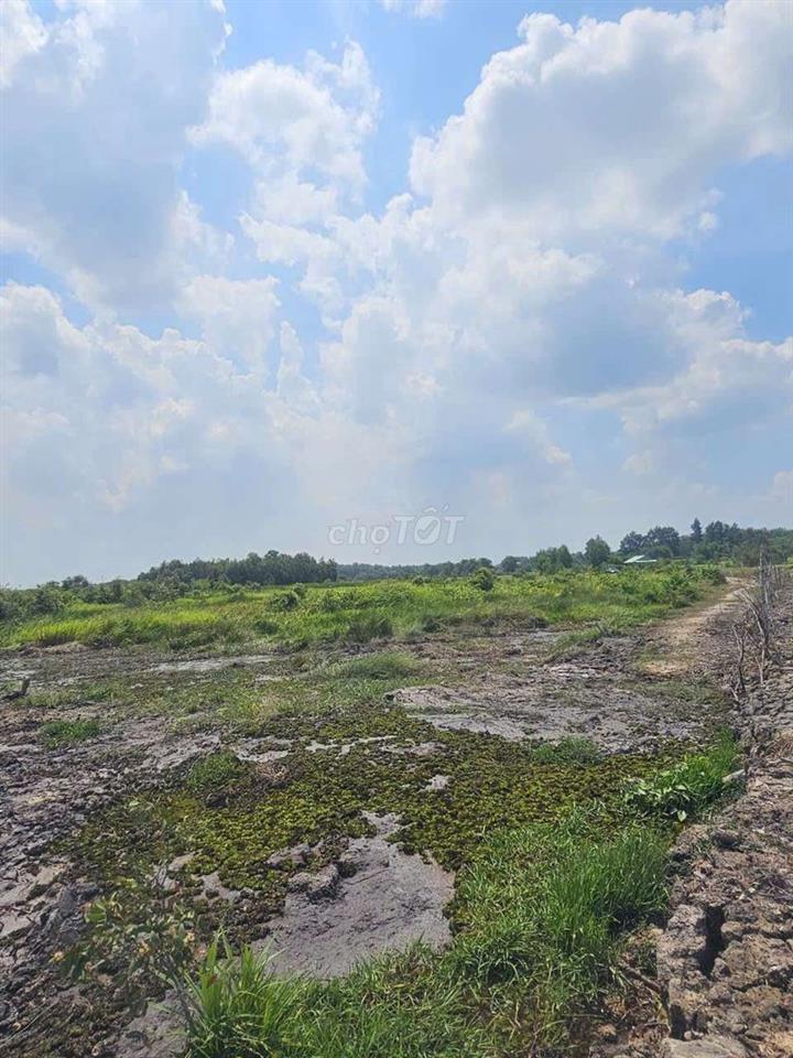 1.500m2 đất xã Thái Mỹ, Củ Chi
