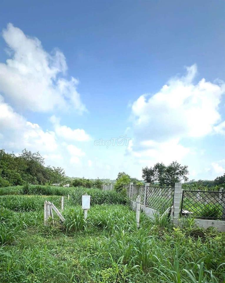Bán gấp đất củ chi 