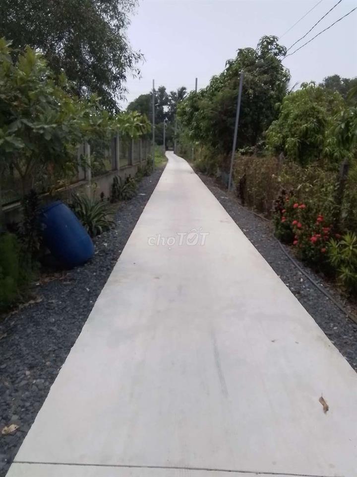 Tôi cần bán miếng đất vưởn ở cầu trắng, xã trung an
