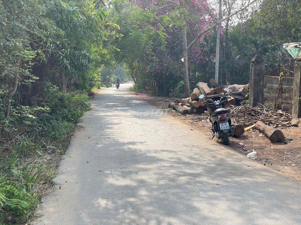 bán đất thổ cư Tân thạnh đông củ chi