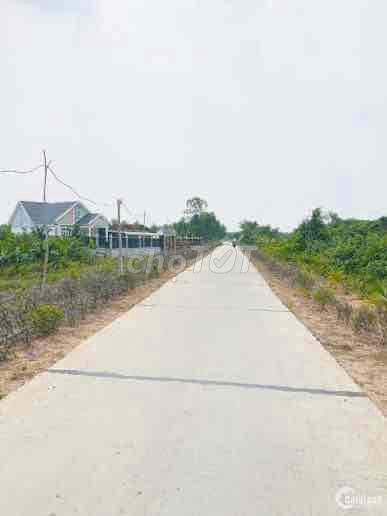 mảnh vườn củ chi 505m2 có sổ