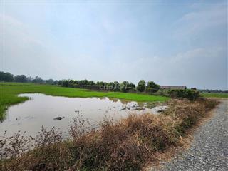 Tân Thạnh Tây, Củ Chi (Chính Chủ bán giá nhỉnh 3 tỳ)