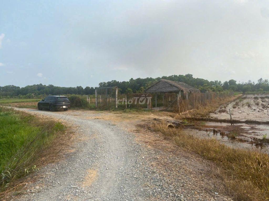 Tân Thạnh Tây, Củ Chi (Chính Chủ bán giá nhỉnh 3 tỳ)