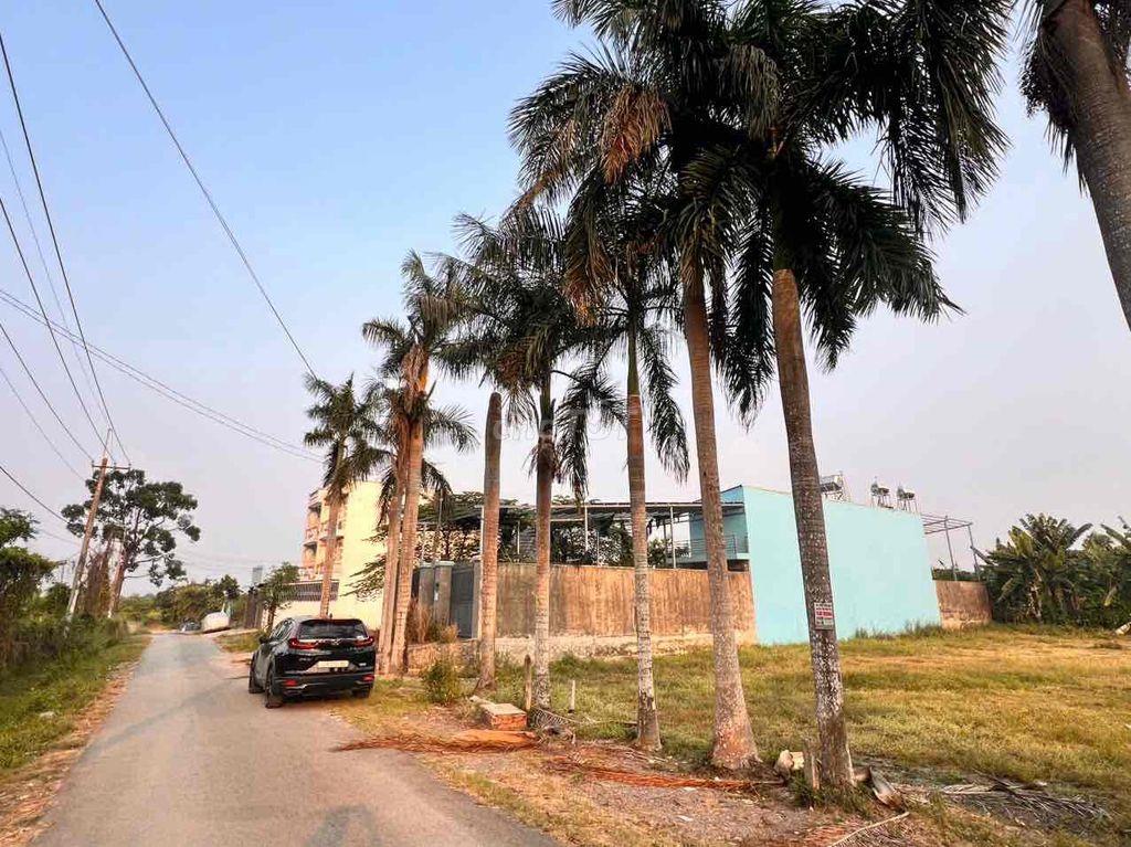 465m² Full Thổ Cư – Ngang 10m Đẹp – Đường Nhựa – Cách ĐT8 Chỉ 2km