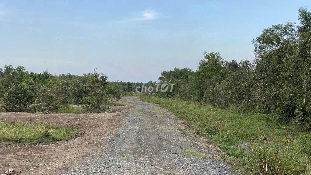 Đất trồng cây hàng năm hơn 4000m2