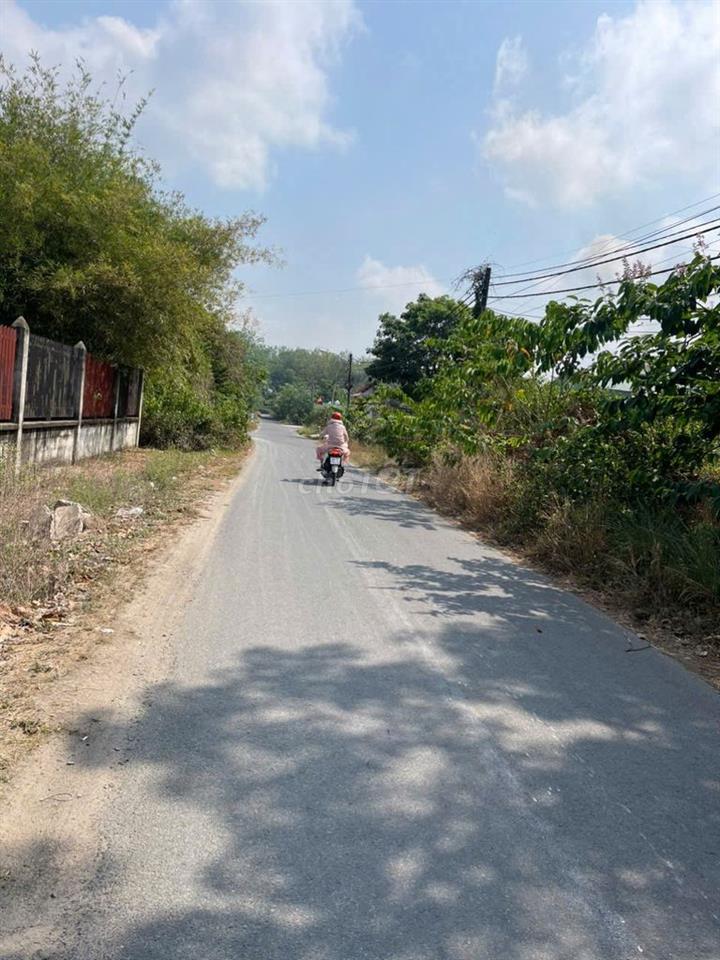 Đất mặt tiền Trần Thị Tuồng Phú Hòa Đông Củ Chi