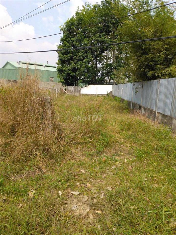 Đất mặt tiền Trần Thị Tuồng Phú Hòa Đông Củ Chi