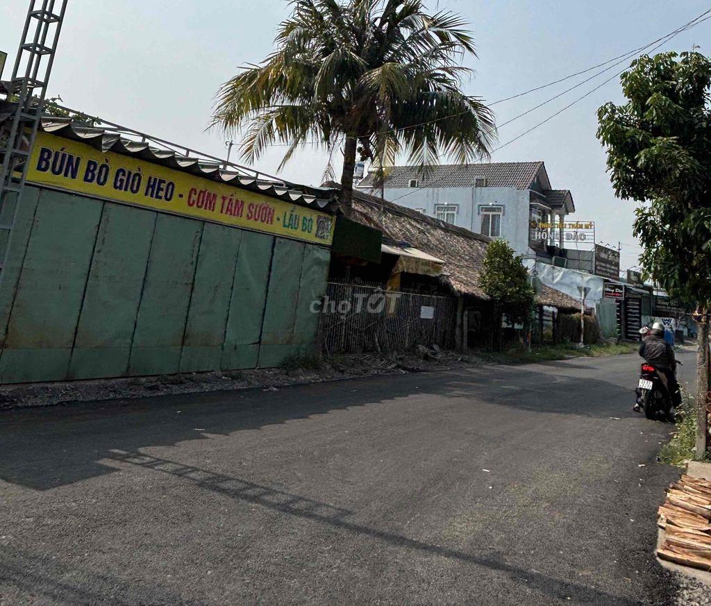 BÁN ĐẤT KHU VỰC DÂN CƯ ĐÔNG - XDTD VÀ HOÀN CÔNG