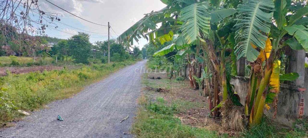 bán rẻ đất thổ cư xã Phú Hoà Đông