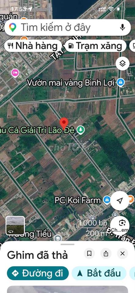 bán đất trồng cây lâu năm mặt tiền đường 7