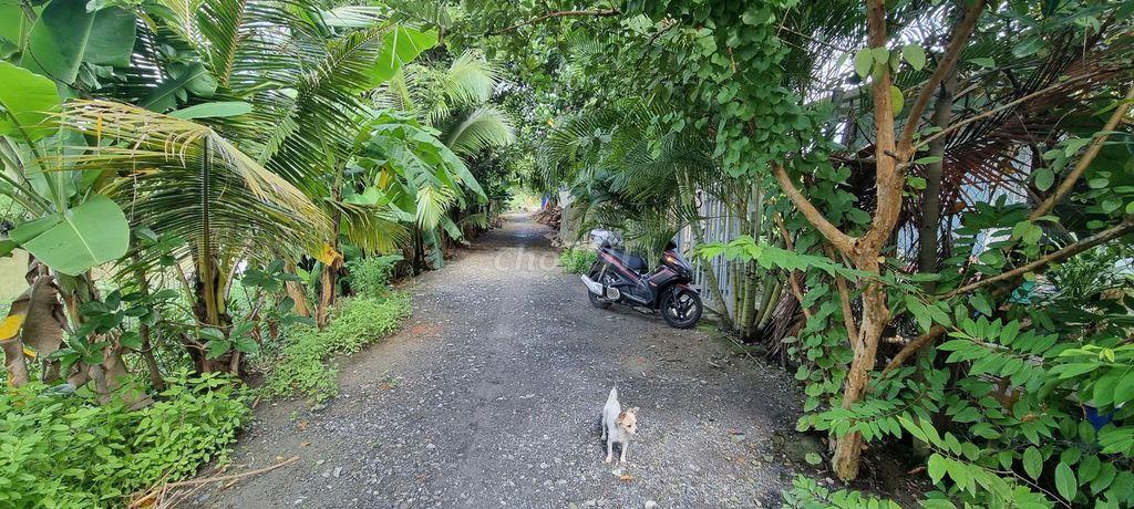 mua đất tặng nhà