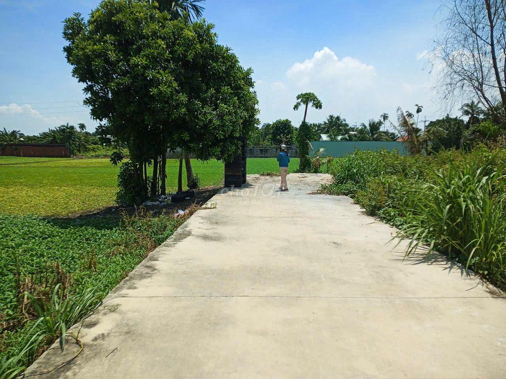 CẦN BÁN ĐẤT THỔ CƯ BÌNH MỸ CC