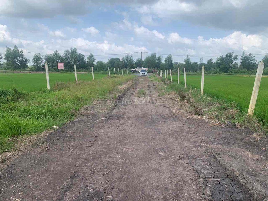cần bán lô đất vườn tại phước thạnh củ chi