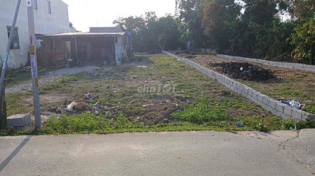 Bắn Đất Thổ Cư Cây Thông Trong đặc khu Phú Quốc