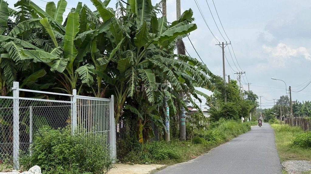BÁN GẤP ĐẤT MẶT TIỀN