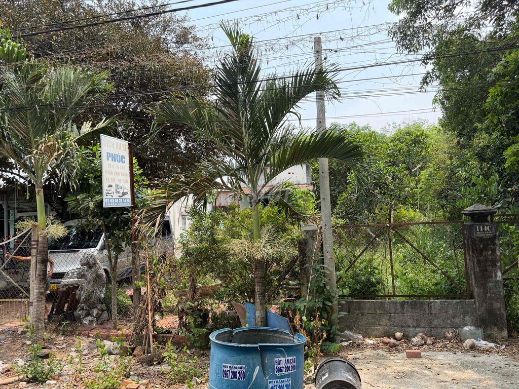 Đất thổ cư mặt tiền Xã Phú Hoà Đông