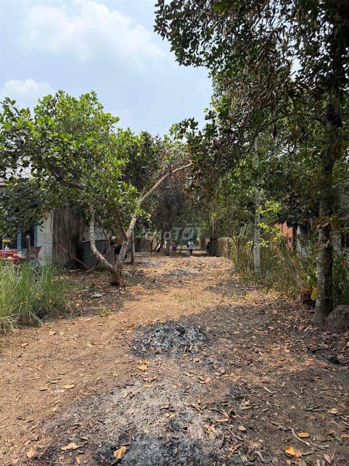 Đất thổ cư mặt tiền Xã Phú Hoà Đông