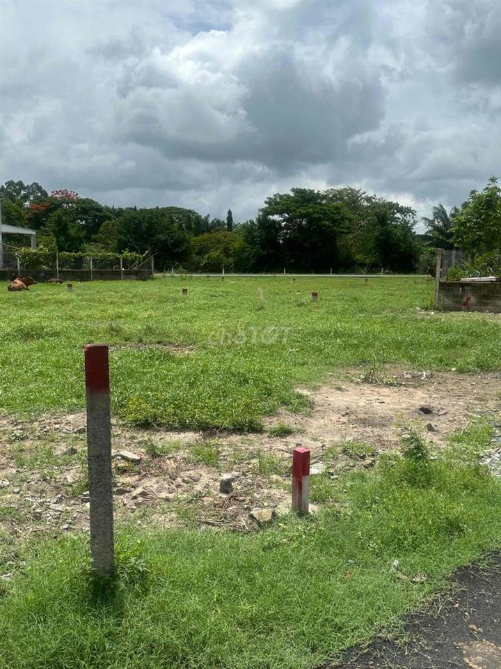 Đất Củ Chi giá tốt Sổ riêng từng nền, đón đầu làn sóng phát triển mới