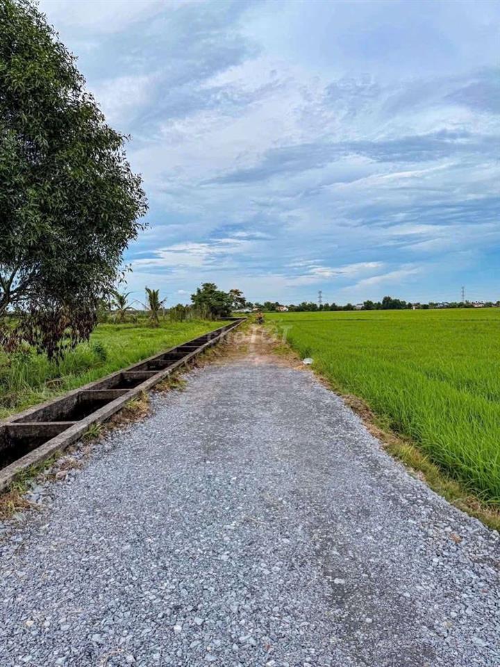 đất Củ Chi xã Trung Lập Thượng , Thái Mỹ mới