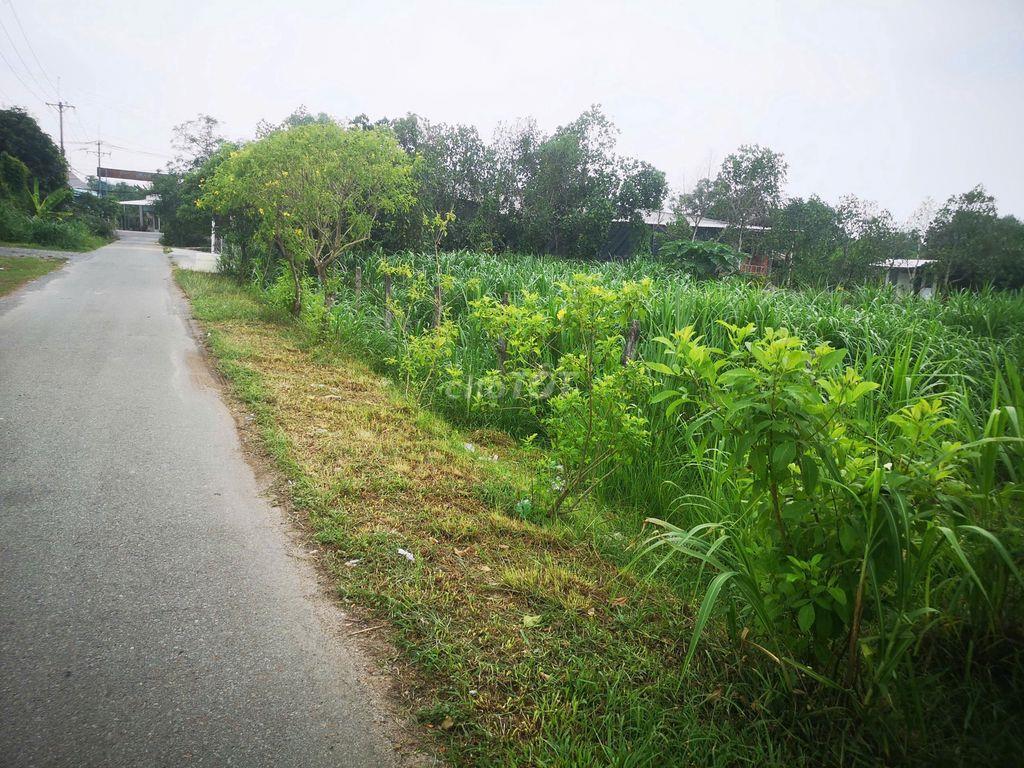 Bán đất mặt tiền đường 762 - Gần sát chợ An Nhơn Tây, BV Đa Khoa CủChi