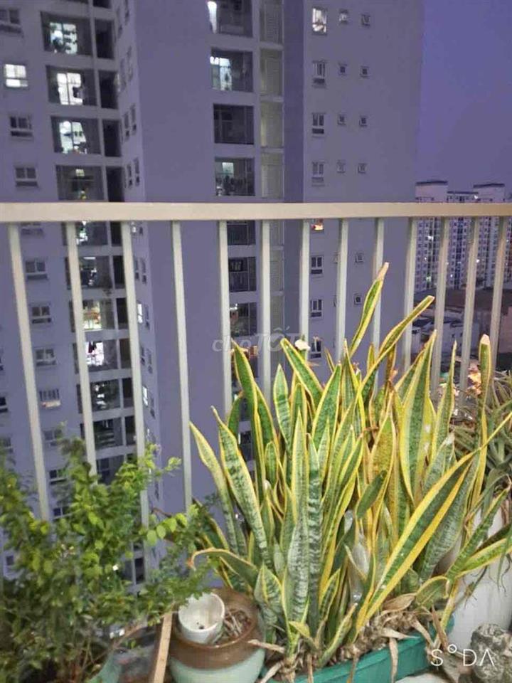 Cho thuê chcc Prosper Plaza q12 phan văn hớn
