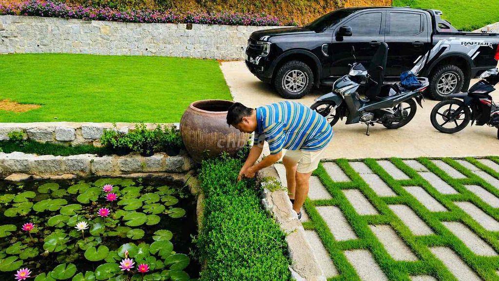1,45HA – MẶT TIỀN BLAOSIRE CÀ PHÊ 4 TẤN, SẦU RIÊNG 5 TẤN THU NGAY