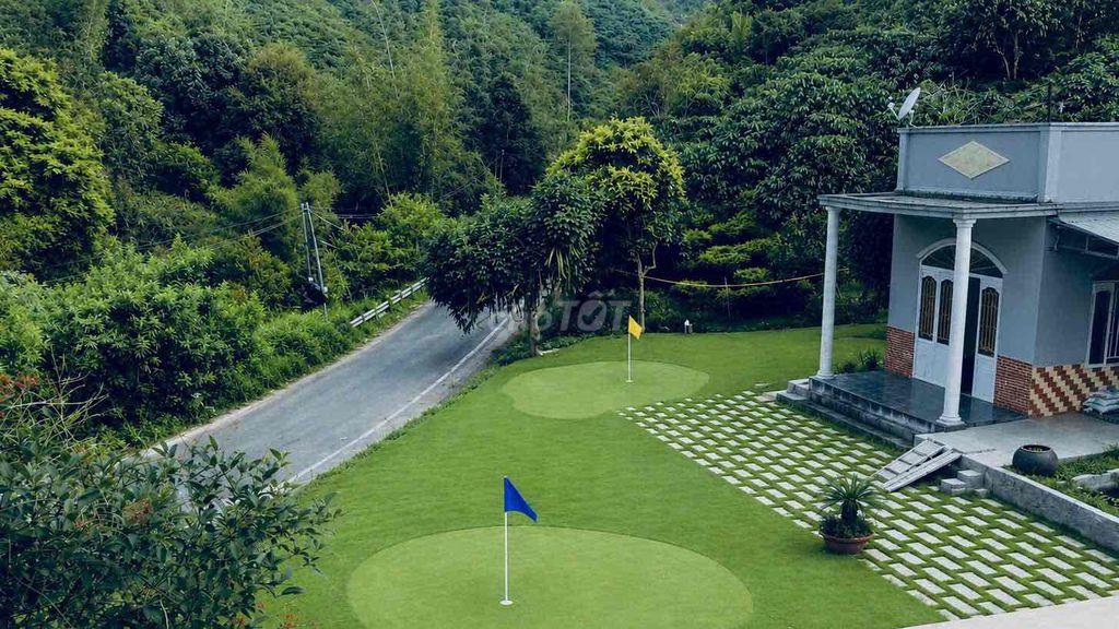 1,45HA – MẶT TIỀN BLAOSIRE CÀ PHÊ 4 TẤN, SẦU RIÊNG 5 TẤN THU NGAY