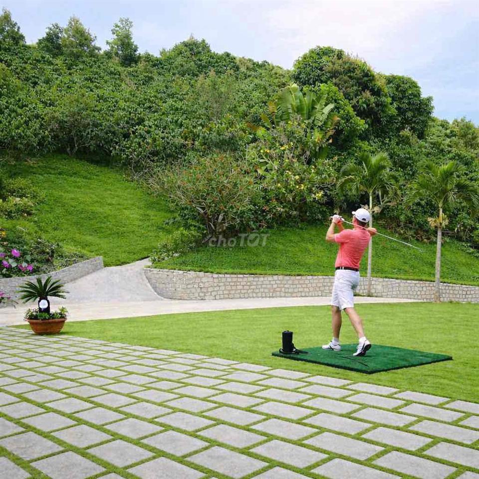 1,45HA – MẶT TIỀN BLAOSIRE CÀ PHÊ 4 TẤN, SẦU RIÊNG 5 TẤN THU NGAY