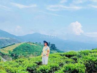 1,45HA – MẶT TIỀN BLAOSIRE CÀ PHÊ 4 TẤN, SẦU RIÊNG 5 TẤN THU NGAY