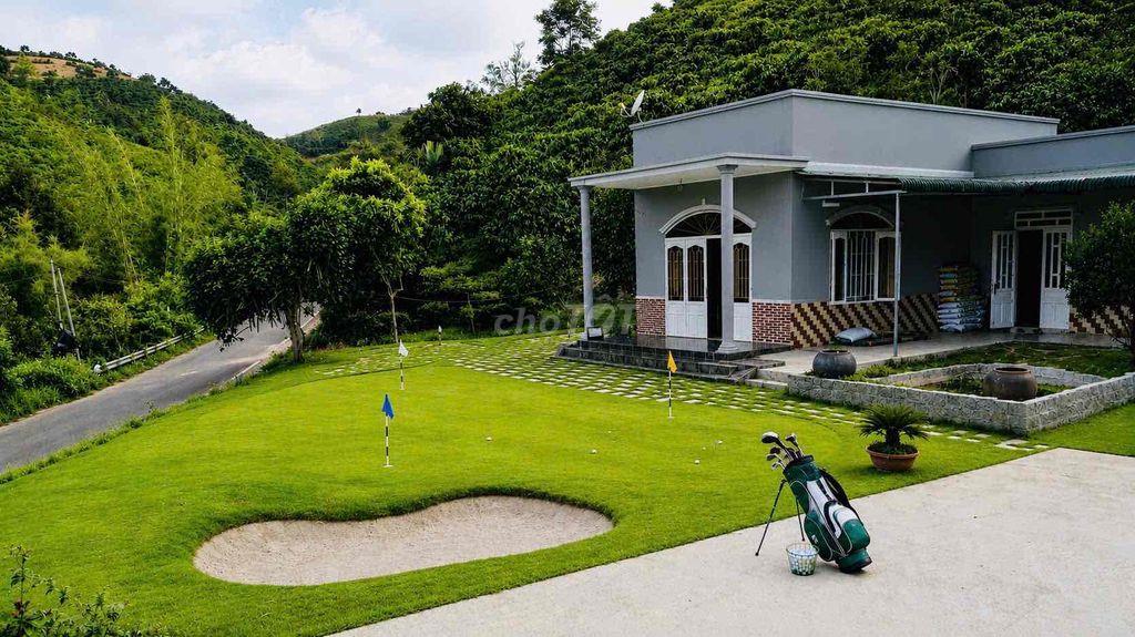 1,45HA – MẶT TIỀN BLAOSIRE CÀ PHÊ 4 TẤN, SẦU RIÊNG 5 TẤN THU NGAY