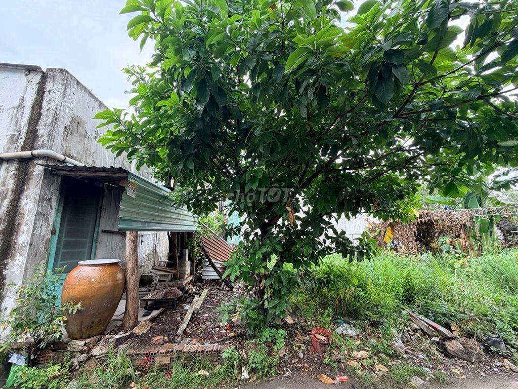 NHỈNH 2 Đ / TA CÓ NGAY MIẾNG THỔ CƯ 62 M2 TẠI THẠNH XUÂN / Q12