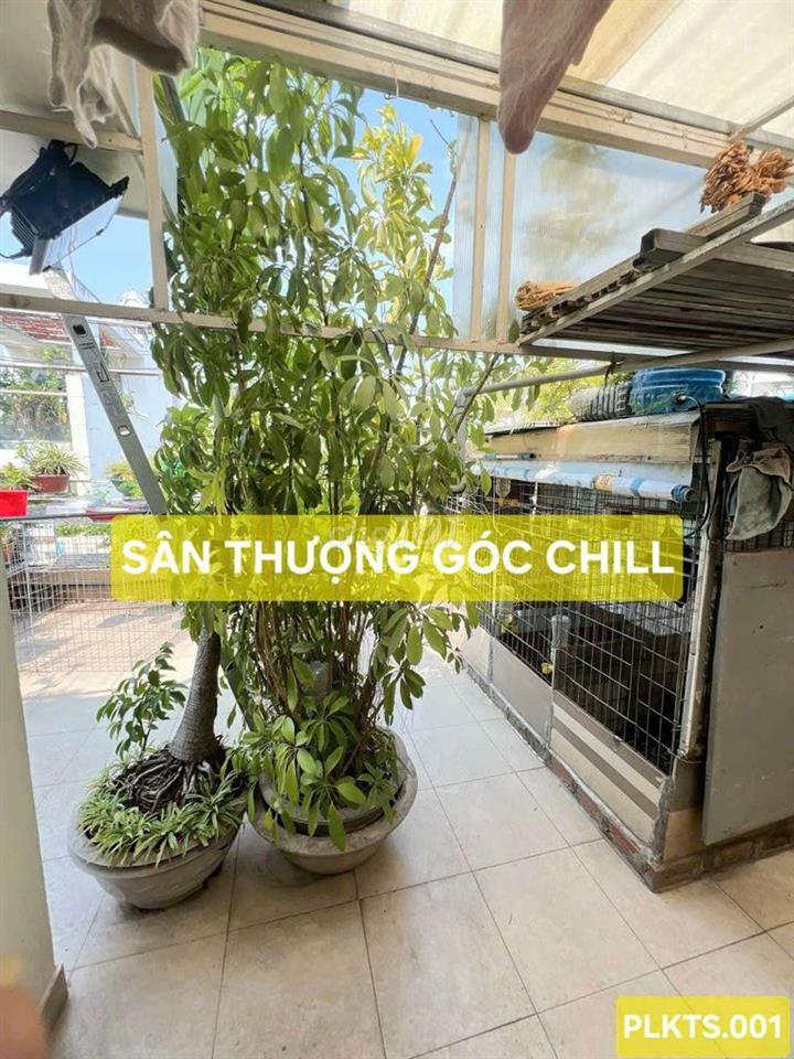 NỞ HẬU TÀI LỘC TT TÂN BÌNH GIÁP QUẬN 10 SÁT HẺM XE HƠI CHỈ NHỈNH 5 TỶ 