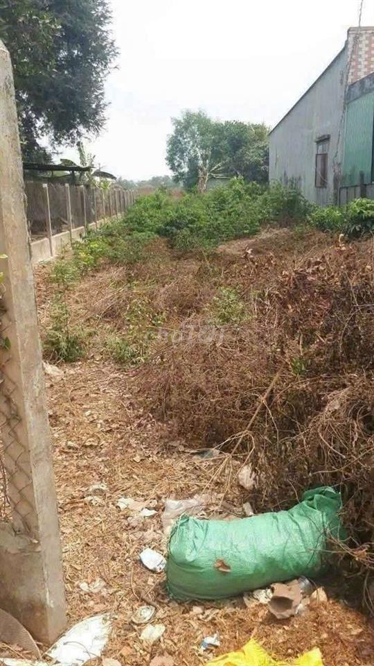 Đất mặt tiền TL 825 Đức Hoà Long An 500 M2