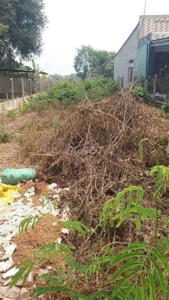 Đất mặt tiền TL 825 Đức Hoà Long An 500 M2