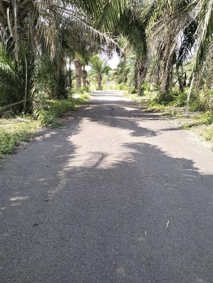 cẩn bán đất xã An viên Trang bom Đồng nai 