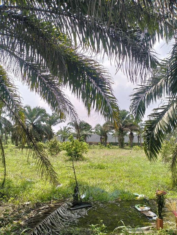 cẩn bán đất xã An viên Trang bom Đồng nai 