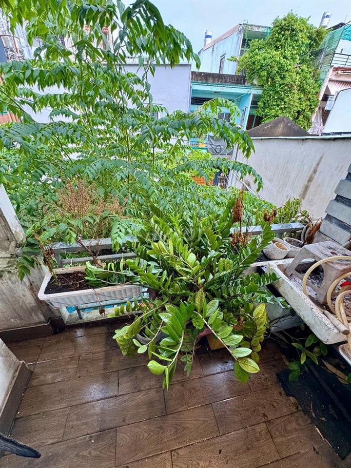 BÁN NHÀ PHƯỜNG 11 GÒ VẤP - DTCN 30,6M2 GIÁ 3T